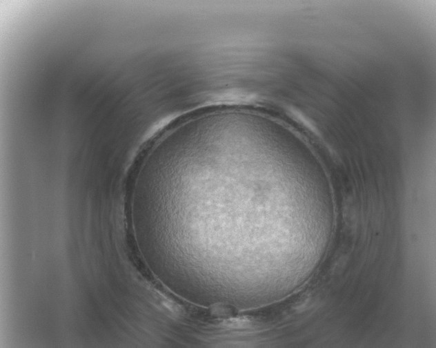 X0000067471315200604142340