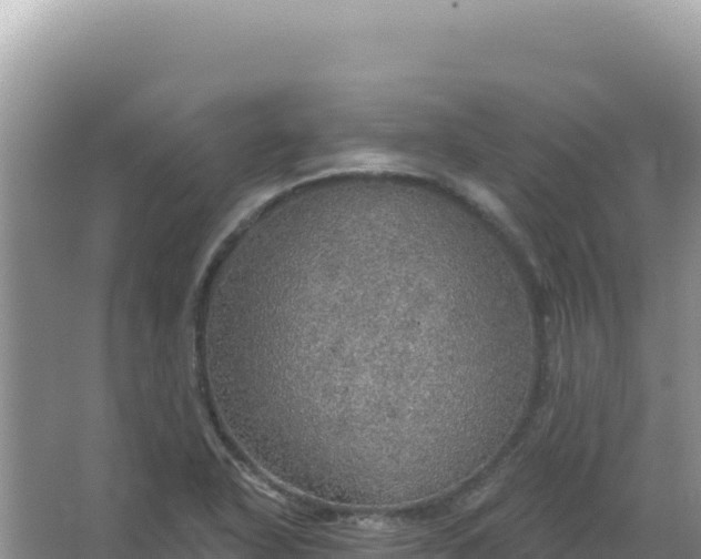 X0000067471318200604142340