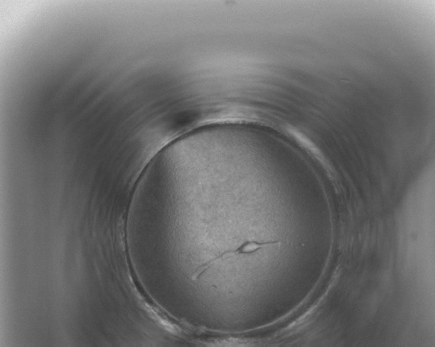 X0000067471329200604142340