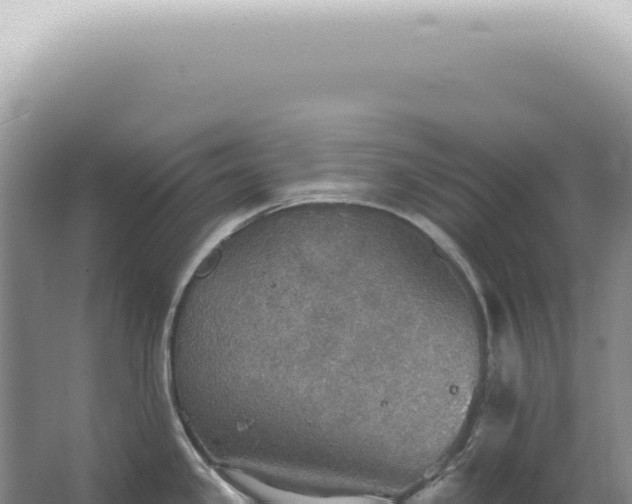 X0000067471341200604142340