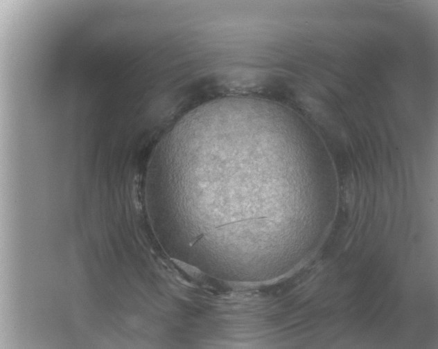 X0000067471346200604142340