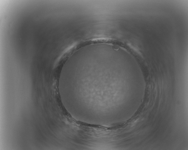 X0000067471351200604142340