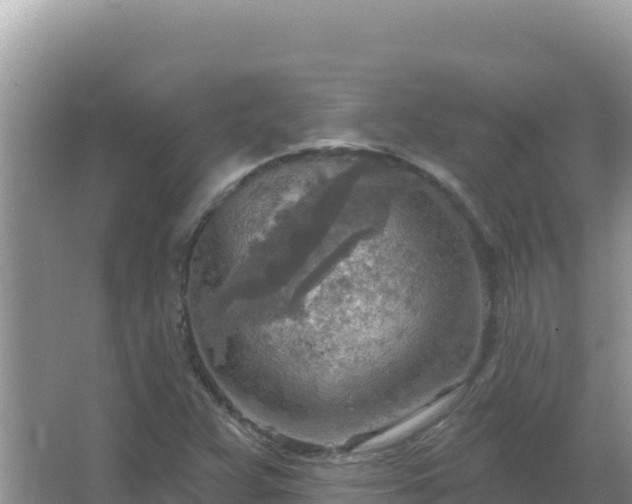 X0000067471359200604142339