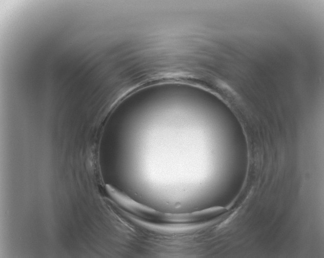 X0000067471361200604142339