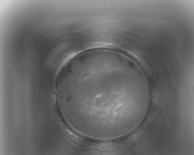 X0000067471363200604142339