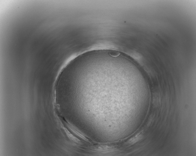 X0000067471366200604142339