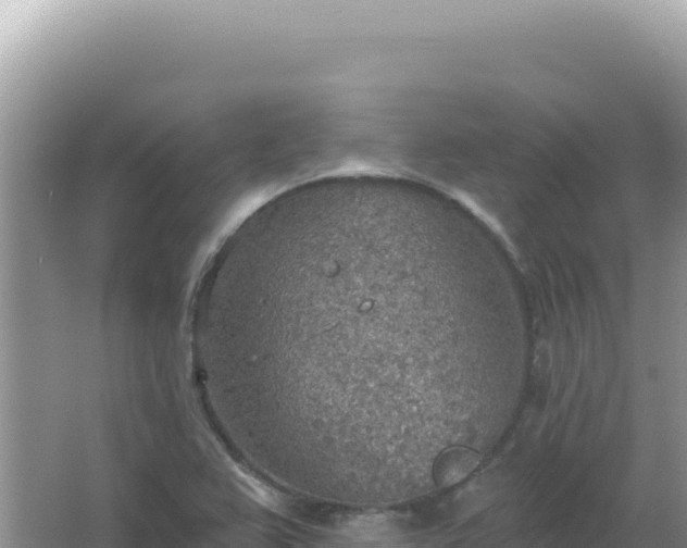 X0000067471367200604142339