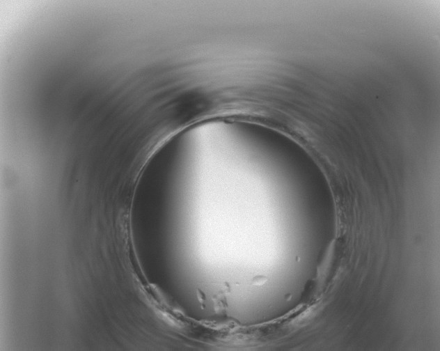 X0000067471369200604142339