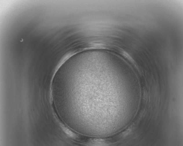 X0000067471370200604142339