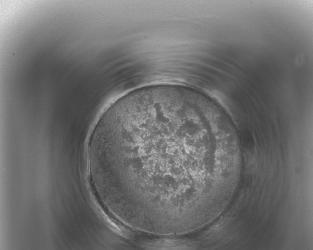 X0000067471371200604142339