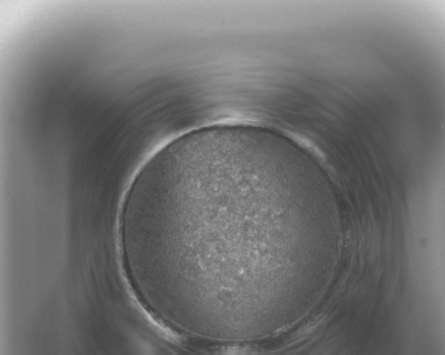 X0000067471375200604142339