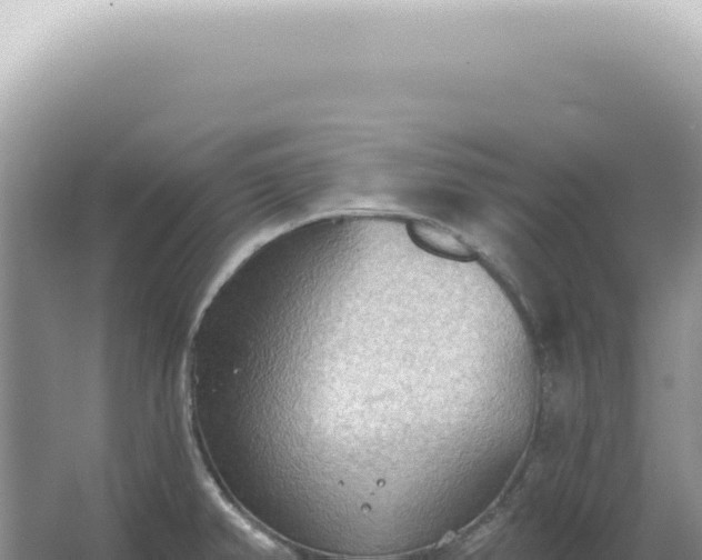 X0000067471382200604142339