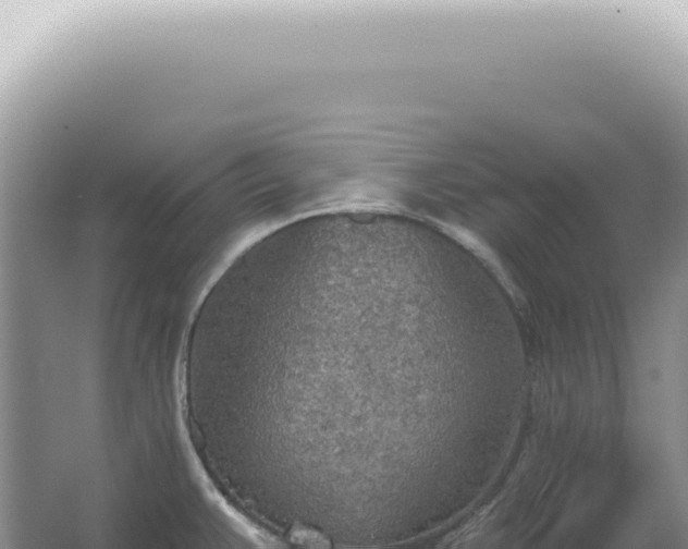 X0000067471383200604142339