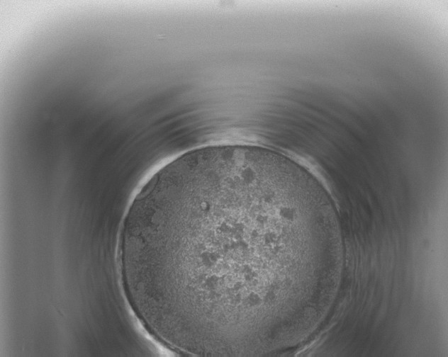 X0000067471387200604142339