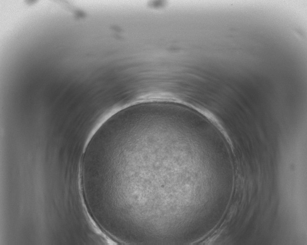 X0000067471390200604142339