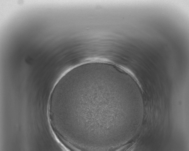 X0000067471391200604142339