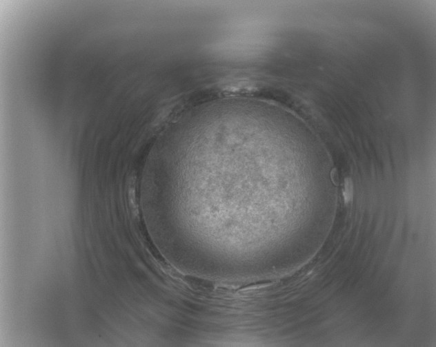 X0000067471396200604142338