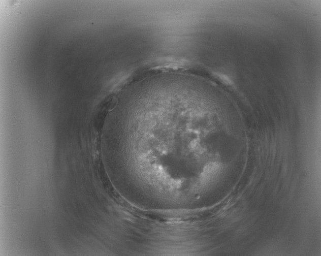 X0000067471399200604142338