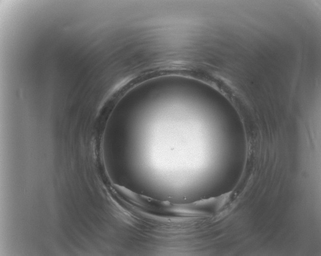 X0000067471402200604142338