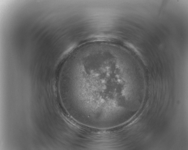 X0000067471403200604142338