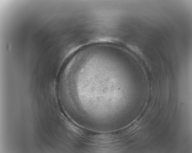 X0000067471404200604142338