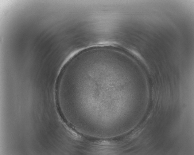 X0000067471412200604142338