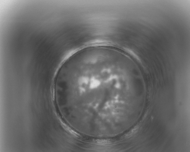 X0000067471413200604142338