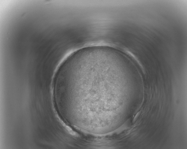 X0000067471416200604142338