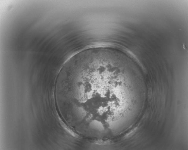 X0000067471417200604142339