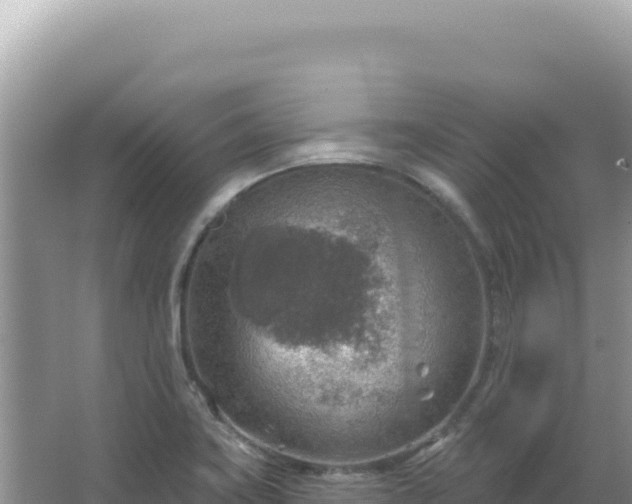 X0000067471419200604142339