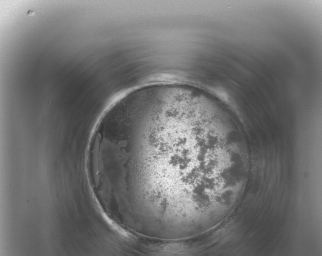 X0000067471421200604142339