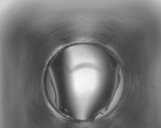 X0000067471422200604142339