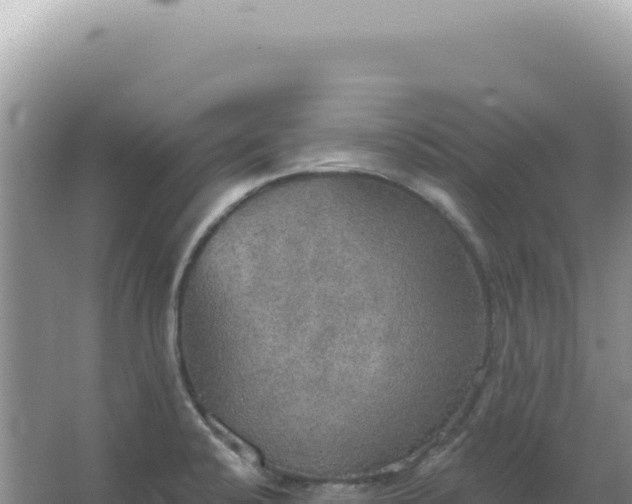 X0000067471424200604142339