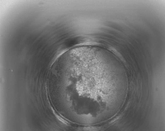 X0000067471425200604142339