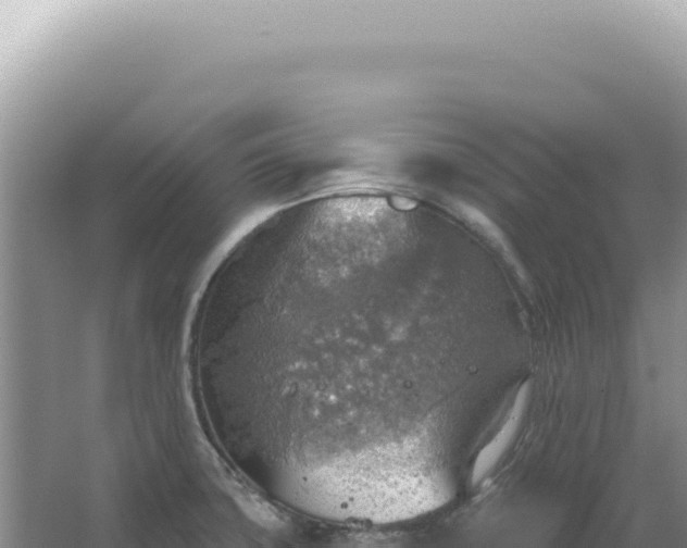 X0000067471427200604142339