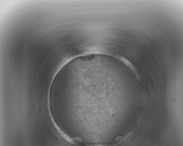 X0000067471431200604142339