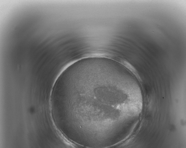 X0000067471436200604142339