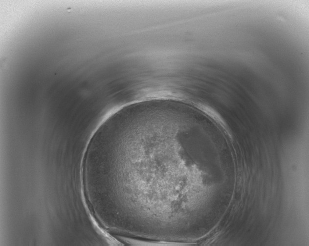 X0000067471439200604142339