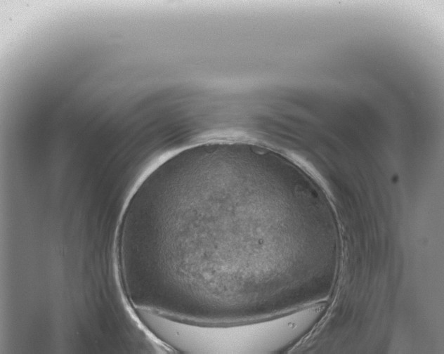 X0000067471440200604142339