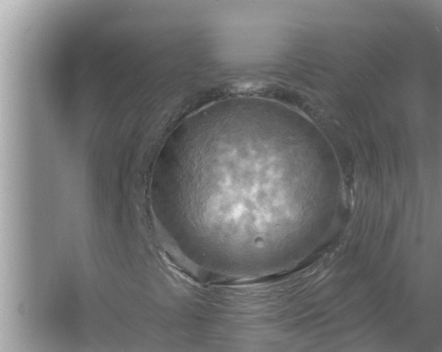 X0000067471441200604142338