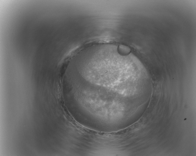 X0000067471446200604142338