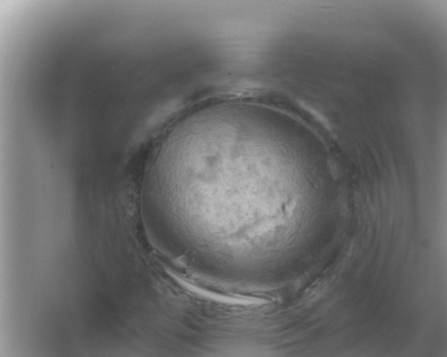 X0000067471447200604142338