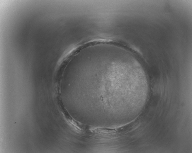 X0000067471448200604142338