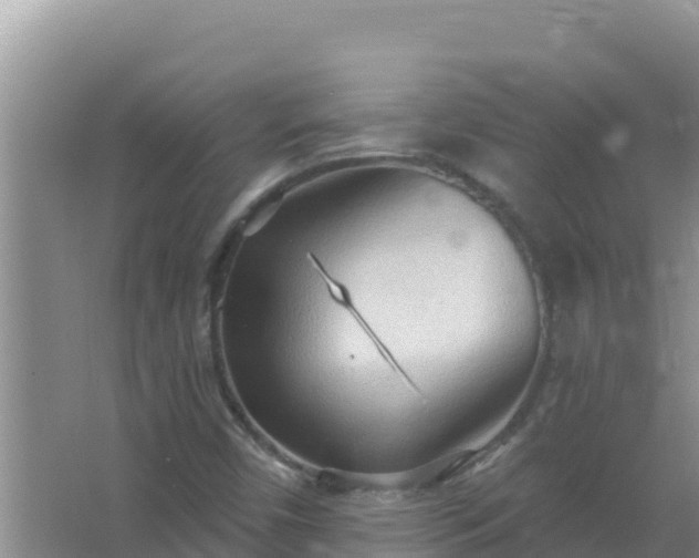 X0000067471450200604142338