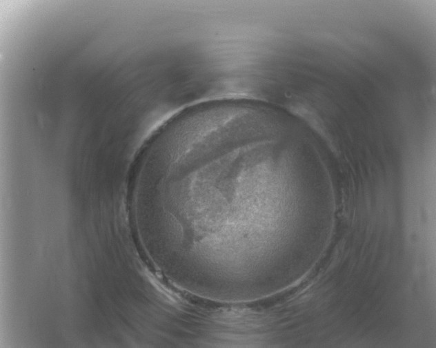 X0000067471452200604142338