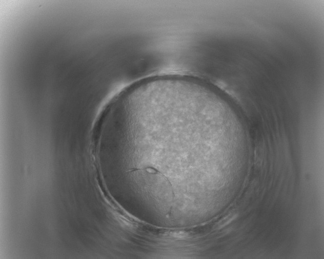 X0000067471454200604142338