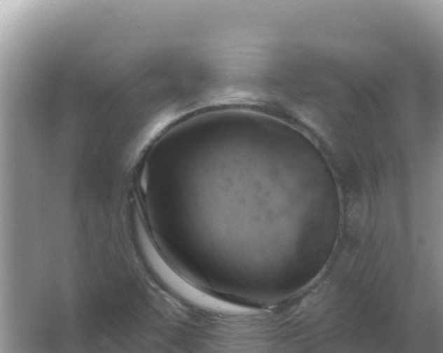 X0000067471455200604142338