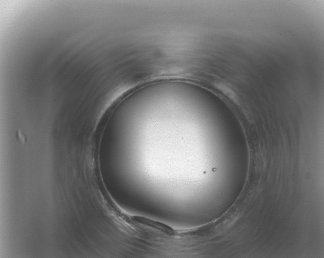 X0000067471458200604142338