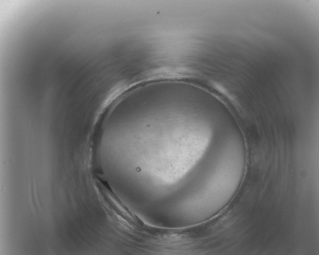 X0000067471459200604142338