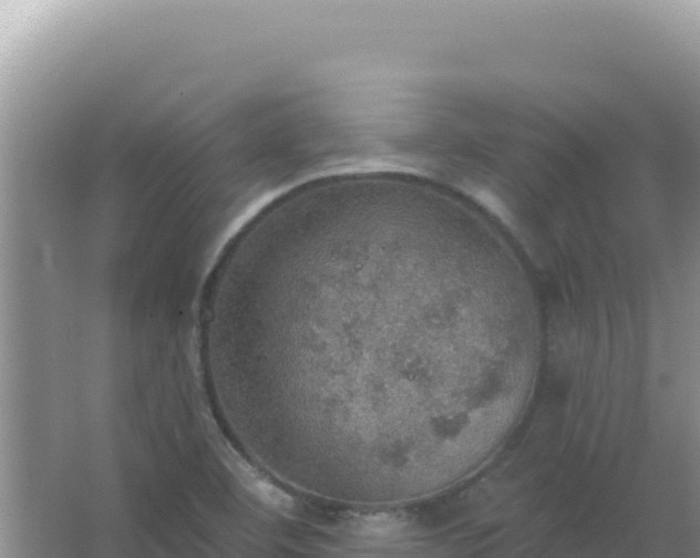 X0000067471460200604142338